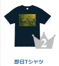 TシャツデザインTMIX-ティーミックス-丨1枚からTシャツをデザインプリント4