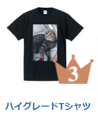 TシャツデザインTMIX-ティーミックス-丨1枚からTシャツをデザインプリント5